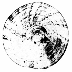 Premiere: Fabrizio Lapiana - Crystal