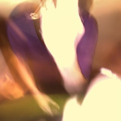 Trav - They let me out of jail so i posted the last song in my email!!!