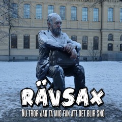 Nu tror jag ta mig fan att det blir snö