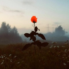 NILS & BUTTON — Depeche Mode SOFT MIX