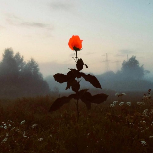 NILS & BUTTON — Depeche Mode SOFT MIX