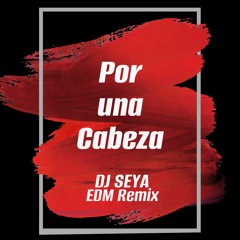 Por una cabeza-bounce night(DJ SEYA Remix)free download