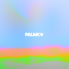 PITIS PARKER ✹ MOU✹  PALMCO  ✹ SUB-NADIR #1