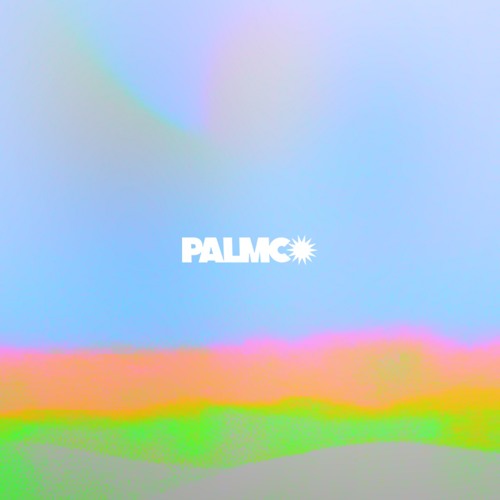 PITIS PARKER ✹ MOU✹  PALMCO  ✹ SUB-NADIR #1