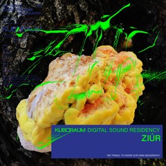 Kuboraum Digital Sound Residency