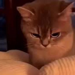 Hate me (jersey club remix)