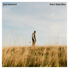 Bare Knuckles - Joel Stewart