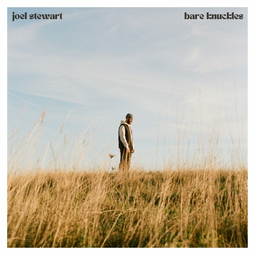 Bare Knuckles - Joel Stewart