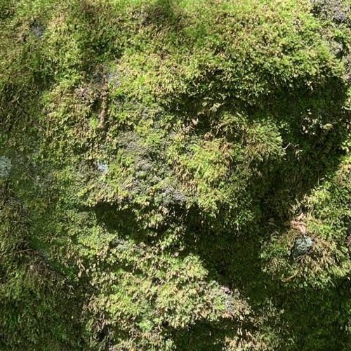 眠る-demo