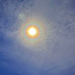 Srsly, wtf (Dawless jam)