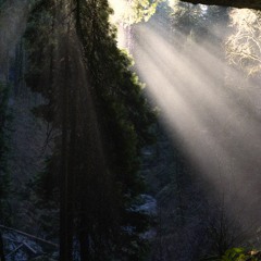 i love you in the sunlight