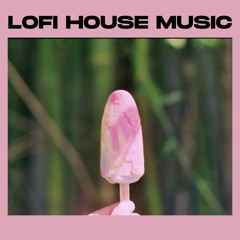 Summer lofi house mix