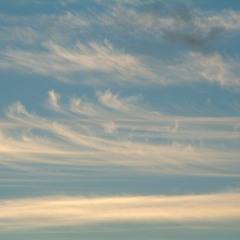 Introduction for a new area