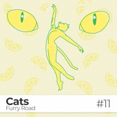 EPISODE #11 / Cats