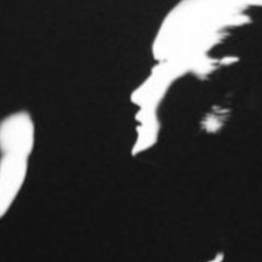 Embryonic