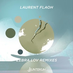 Laurent Flaoh - Zebra Lov (Christopher Schwarzwalder Remix)