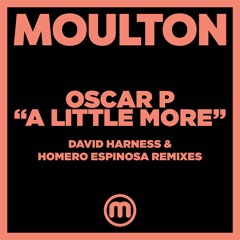 A Little More (David Harness Remix)