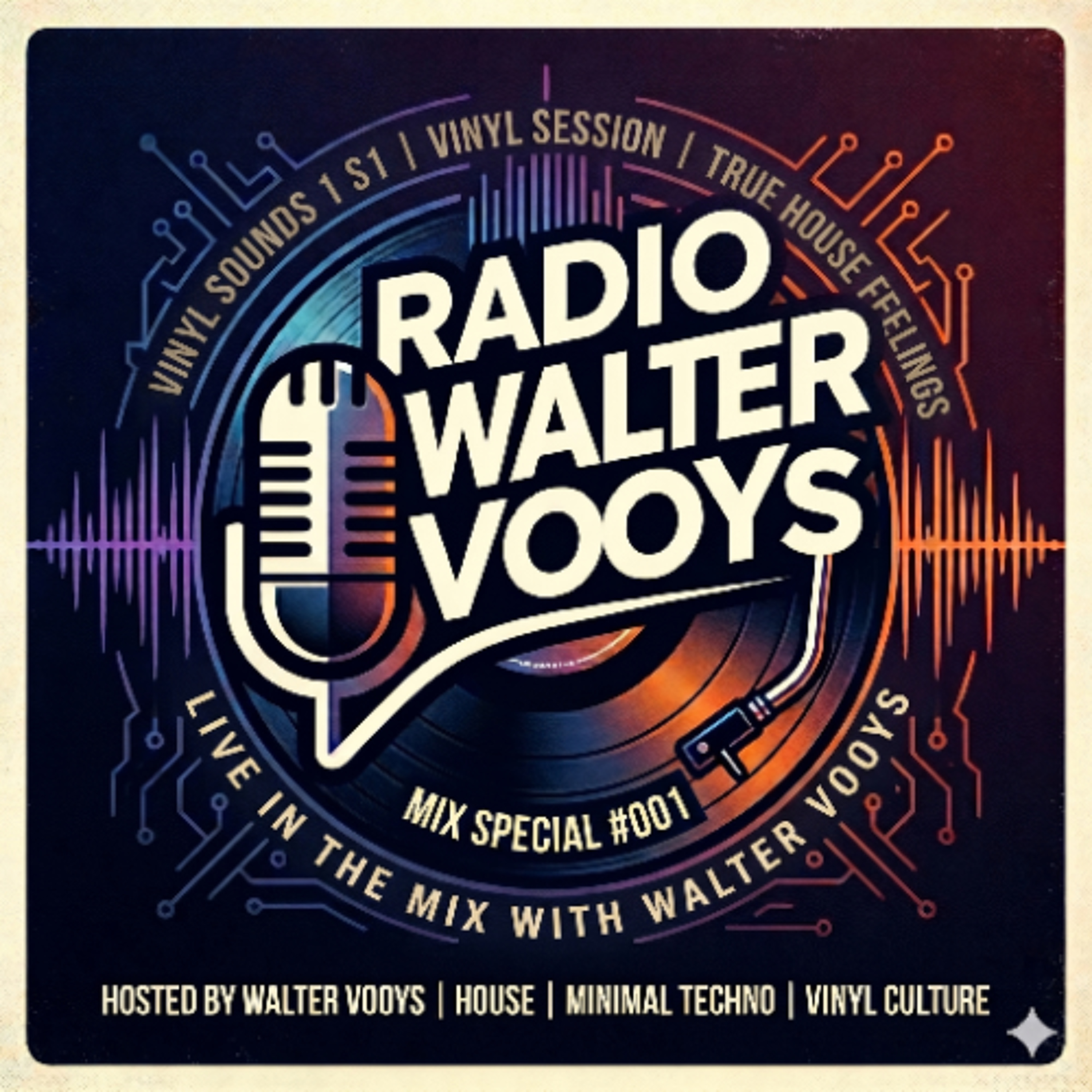 Walter Vooys Vinyl Session April 2026 episode artwork