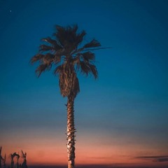 Clear Summer Nights