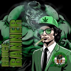 bruce banner