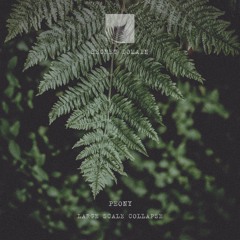 Peony - Lunar Module