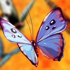 Butterflies!