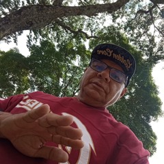 Whispers of the night