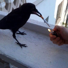 saddest shit ever (icanthardlystandit mix)