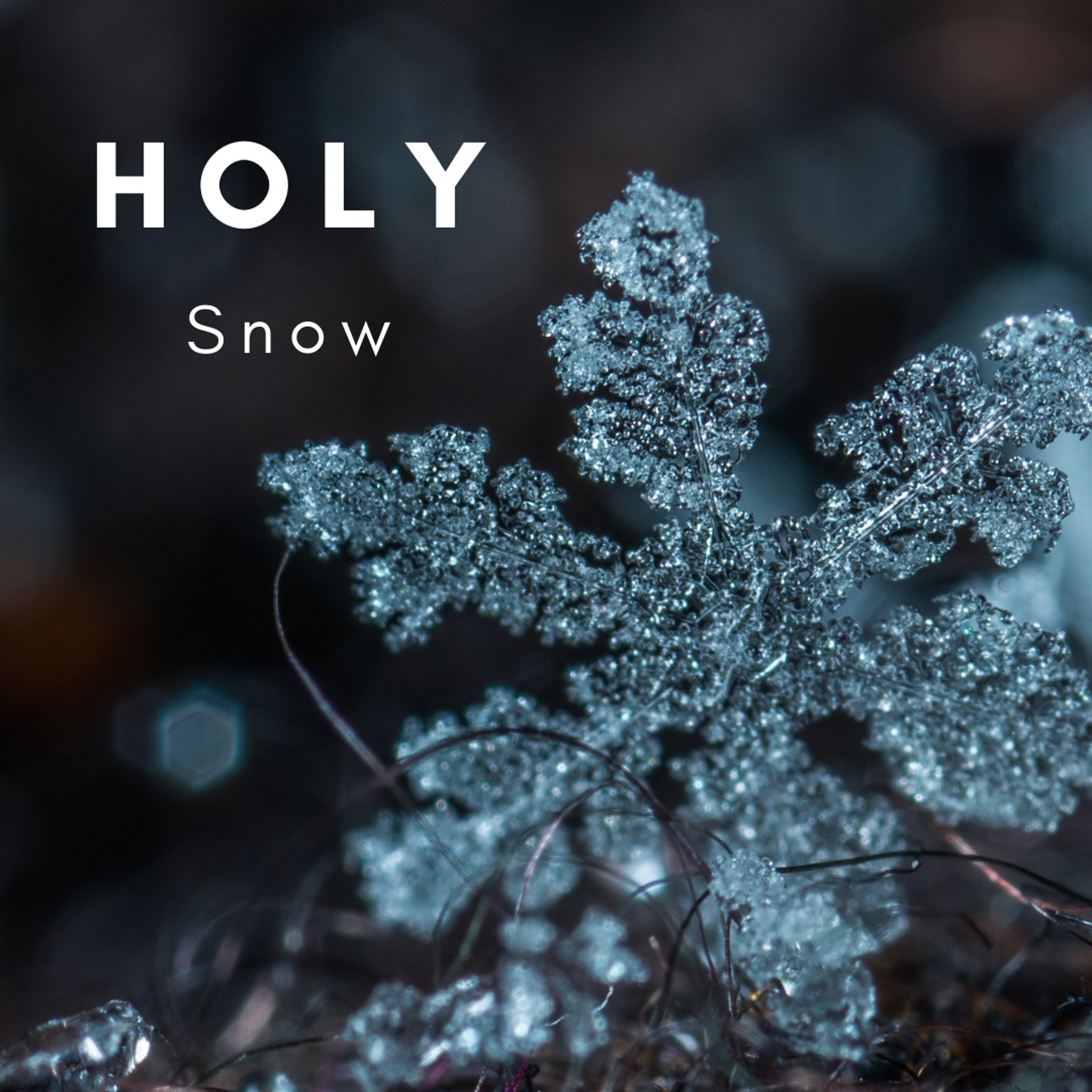 Holy Snow 110 Bpm episode artwork