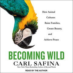 download KINDLE 🖍️ Becoming Wild: How Animal Cultures Raise Families, Create Beauty,