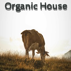 Organic House ( Metreveli Act 0.1)