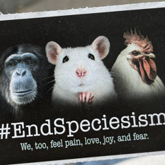 Raindrops on my shoulder