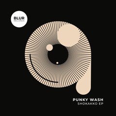 Punky Wash - Shokakko (Original Mix)