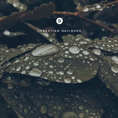 Voyage of Discovery 084