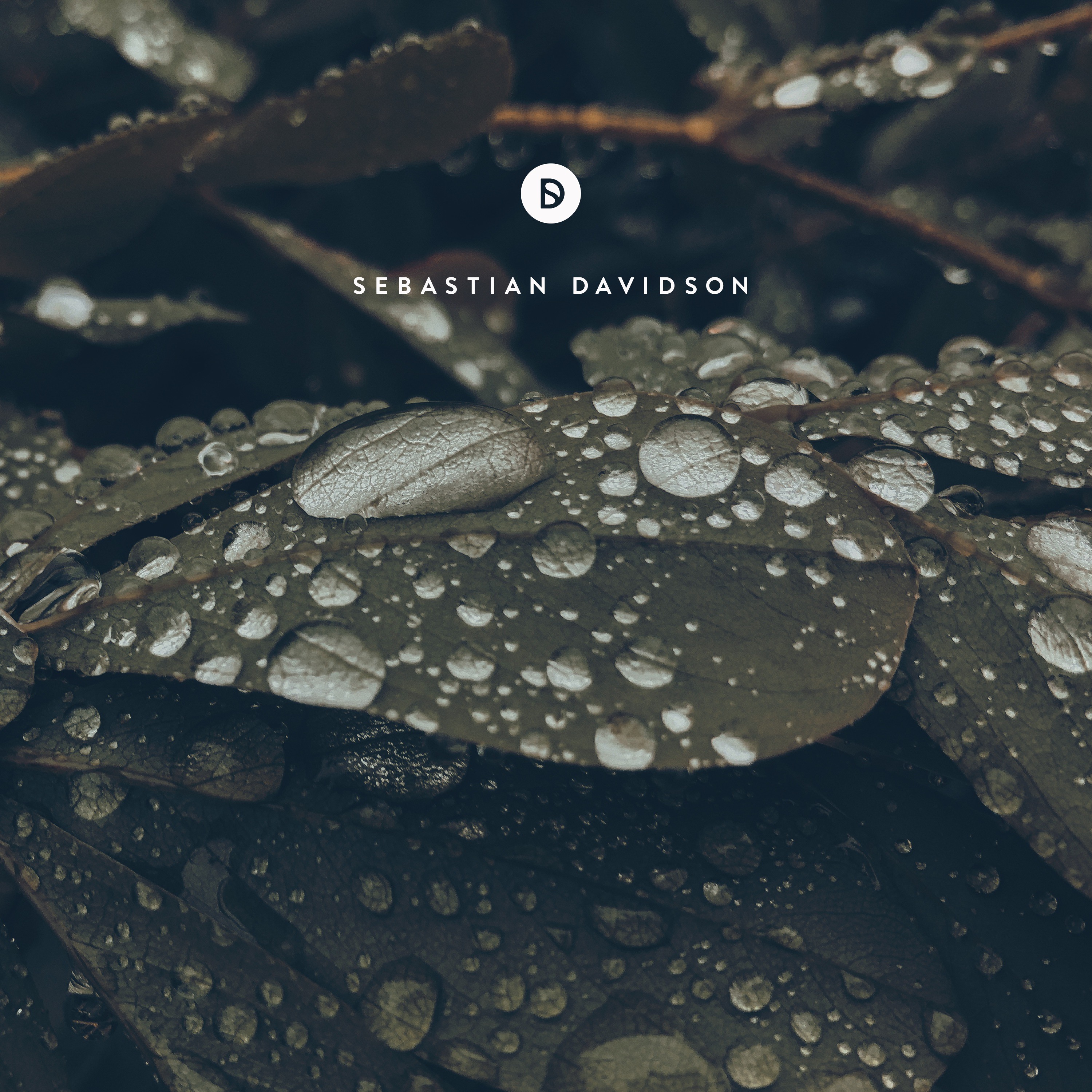 Voyage of Discovery by Sebastian Davidson