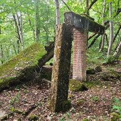 Steht eine Treppe mitten im Wald