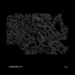 Somnambula 46 — x.y.r.
