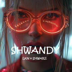 SHWANDY - (LKN x SHWARZ)