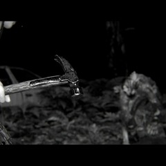 (UNOFFICIAL SOUNDTRACK) The Last Of Us PT II Abby - Seattle Day 1 - Forest Escape Chase