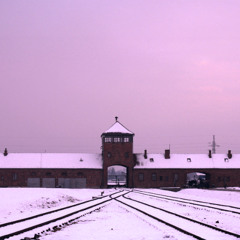 The Nazi Experiment, Vol. 6: Carl Schmitt and the Total State