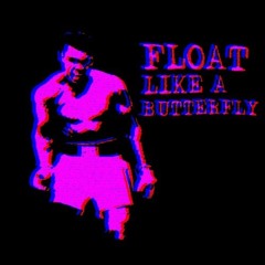 Float Like a Butterfly (Slowed Down) [M.Dottz x Hennedy]