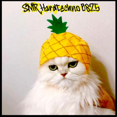 SNIR Hardtechno 0825