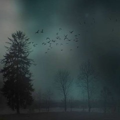 Fear Of Zombie Apocalypse