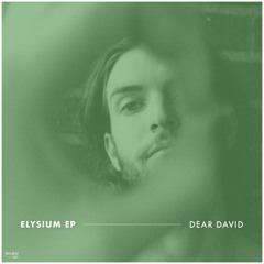 PREMIERE: Dear David - Elysium [NaMu Recordings]