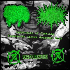 Symphonies Of The Crawling Roundworms Inside Grandmas Womb - Infidel Side