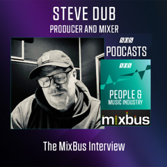 Steve Dub - Producer And Mixer | Podcast
