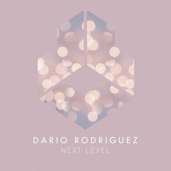 Dario Rodriguez - Next Level