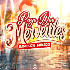BASSNKICK PAYS DES MERVEILLES