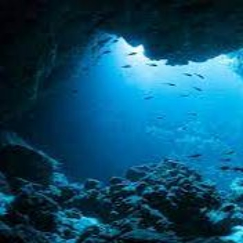 nube - BEZOS et lily