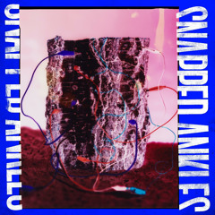 Shifting Basslines of the Cornucopians